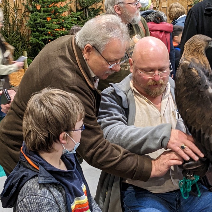 Ein Schüler der Klasse 5 schaut sich Adler Ghandi an (vergrößerte Bildansicht wird geöffnet)